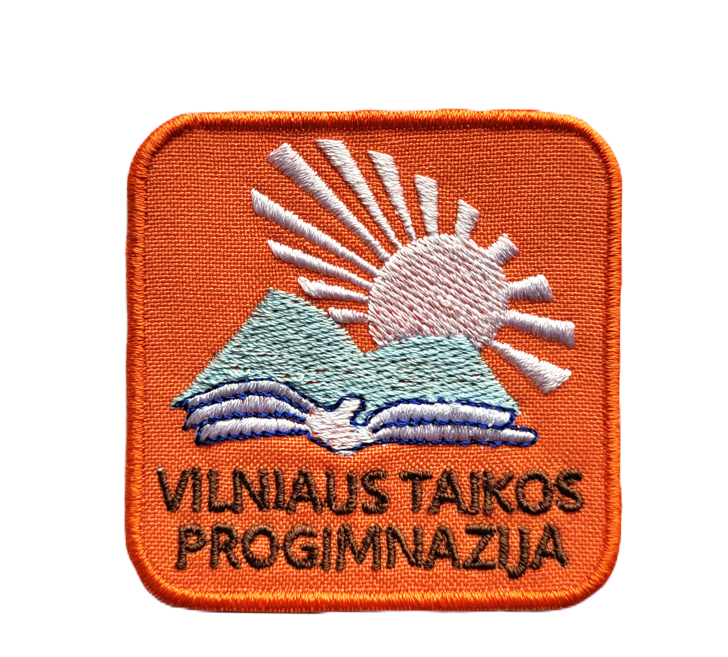 Vilniaus Taikos progimnazija