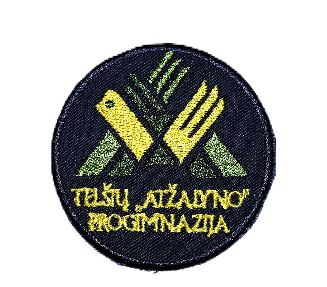 Telšių Atžalyno progimnazija