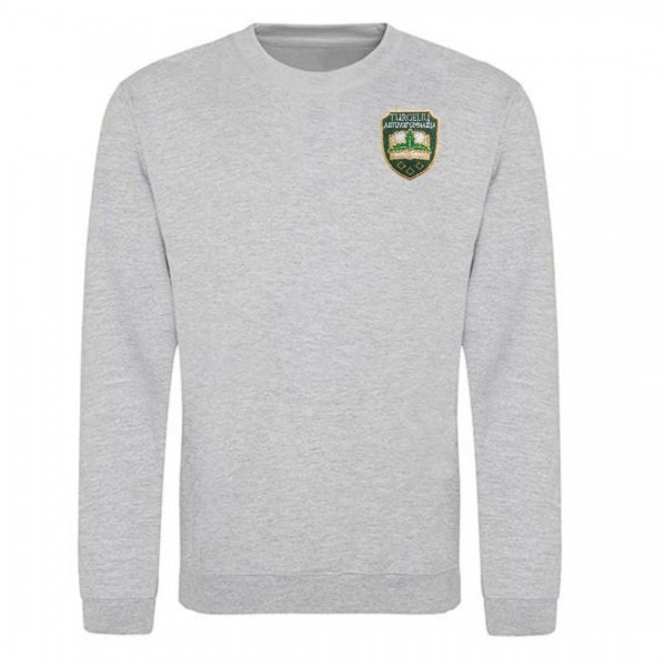 Trikotažinis sportinio tipo džemperis su mokyklos emblema