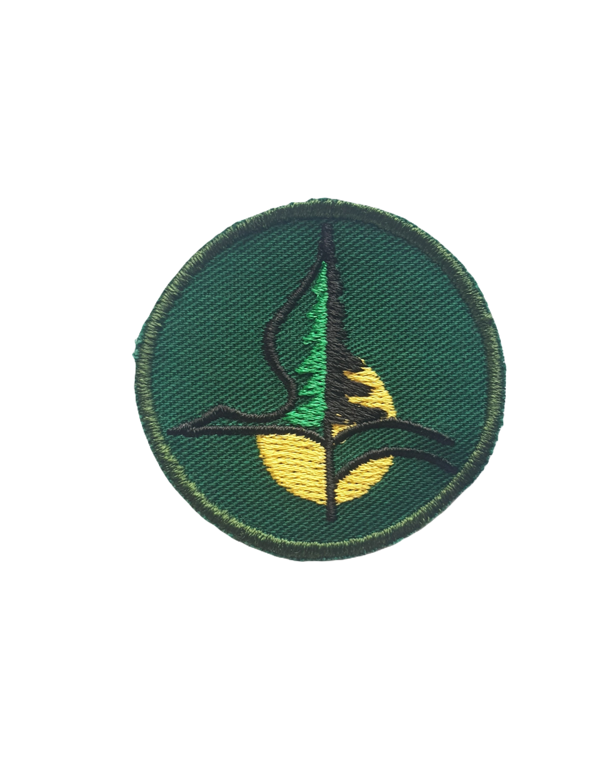 Anykščių A. Baranausko pagrindinės mokyklos emblema