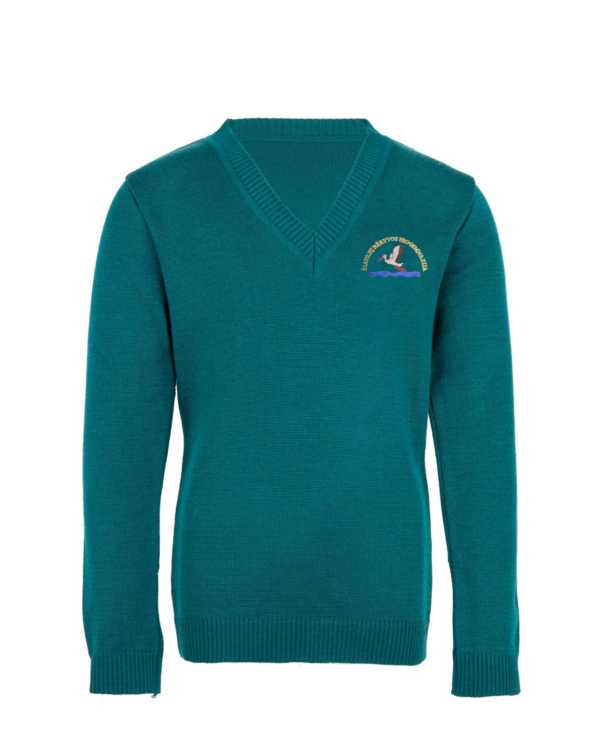 Megztinis V formos kaklu su mokyklos emblema