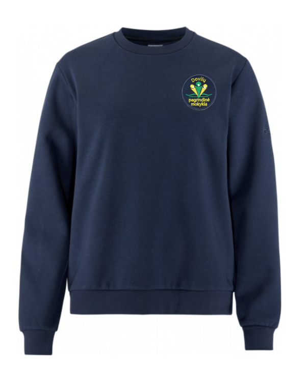 Sportinio stiliaus trikotažinis bliuzonas su mokyklos emblema