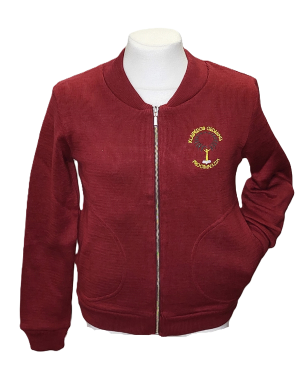 Užtraukiamas megztinis su mokyklos emblema