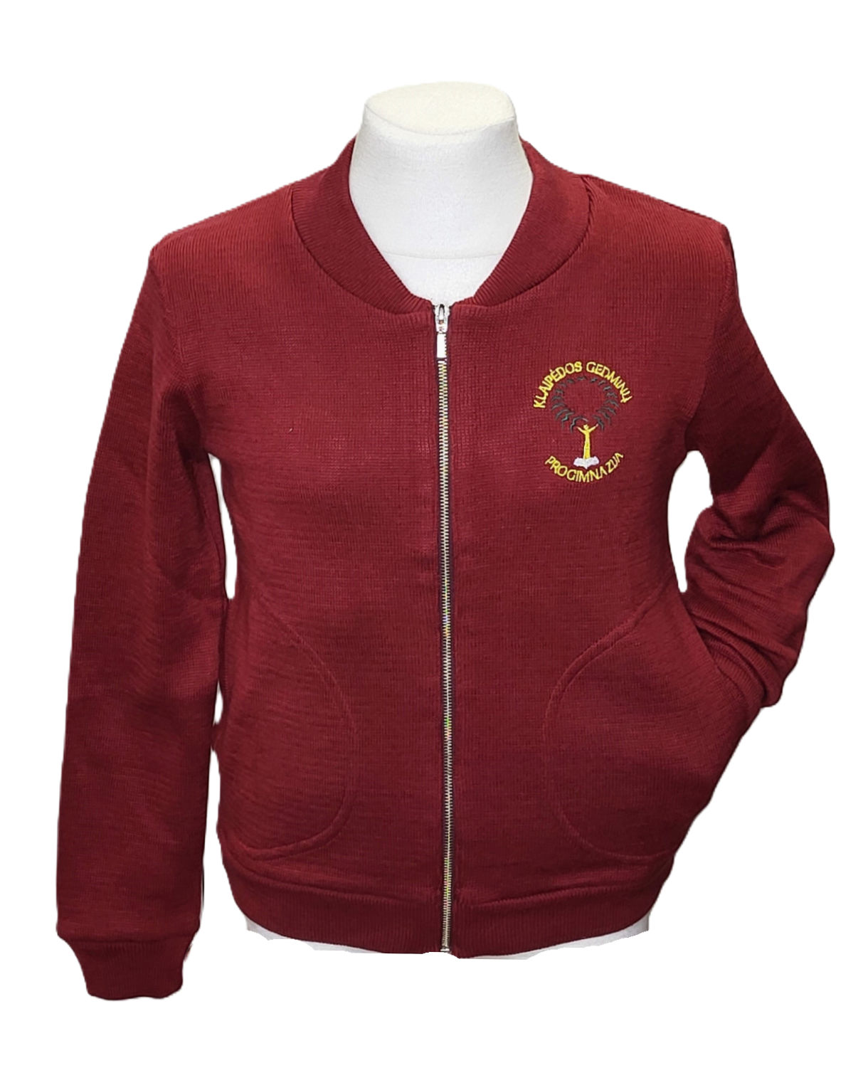 Užtraukiamas megztinis su mokyklos emblema