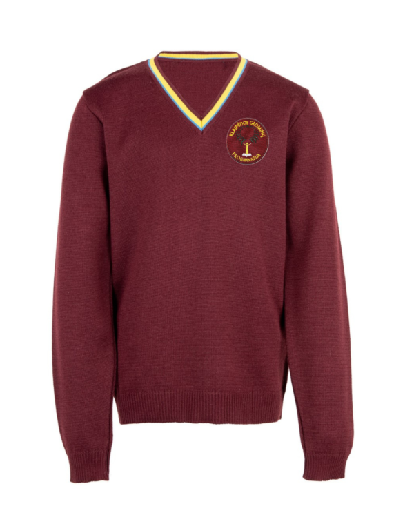 Megztinis V-formos apykakle su mokyklos emblema