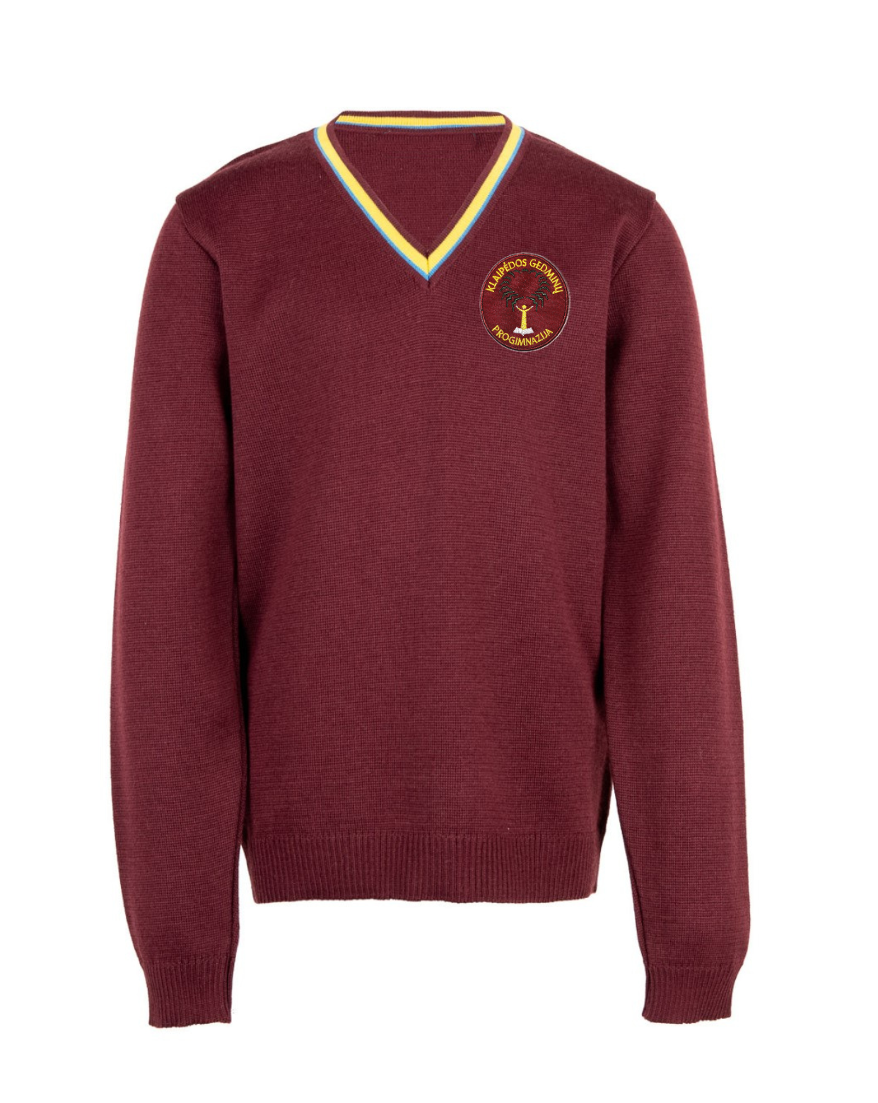 Megztinis V-formos apykakle su mokyklos emblema