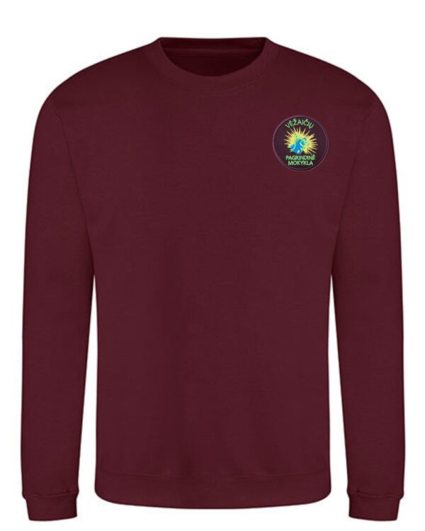 Trikotažinis sportinio tipo džemperis su mokyklos emblema