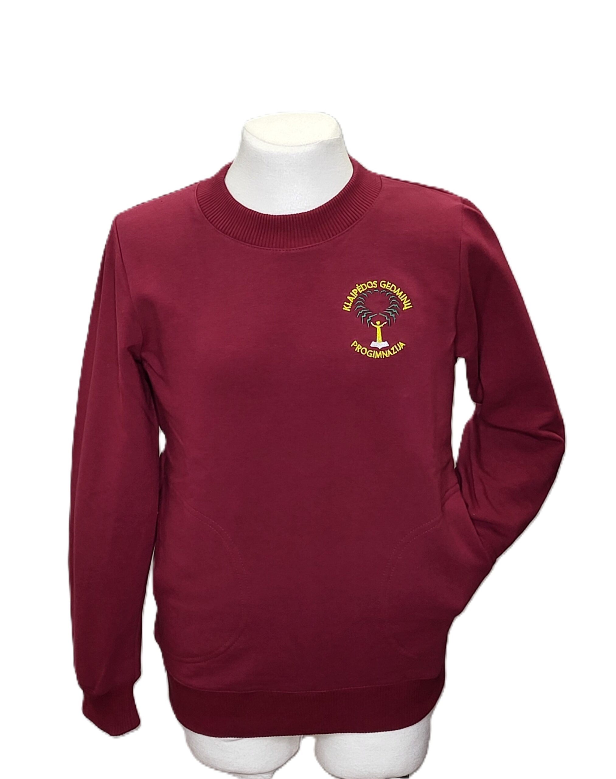 Sportinio stiliaus trikotažinis bliuzonas su mokyklos emblema