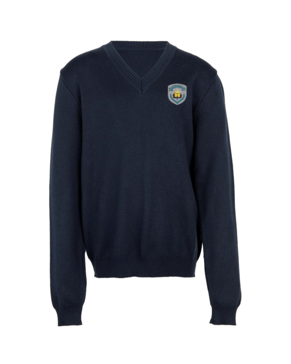 Megztinis V-formos apykakle su mokyklos emblema