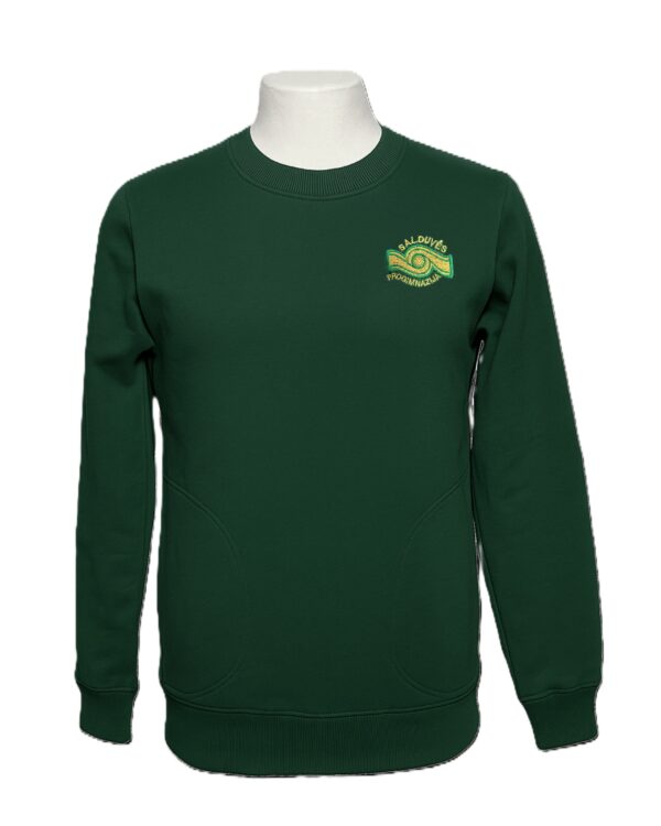 Sportinio stiliaus trikotažinis bliuzonas su mokyklos emblema