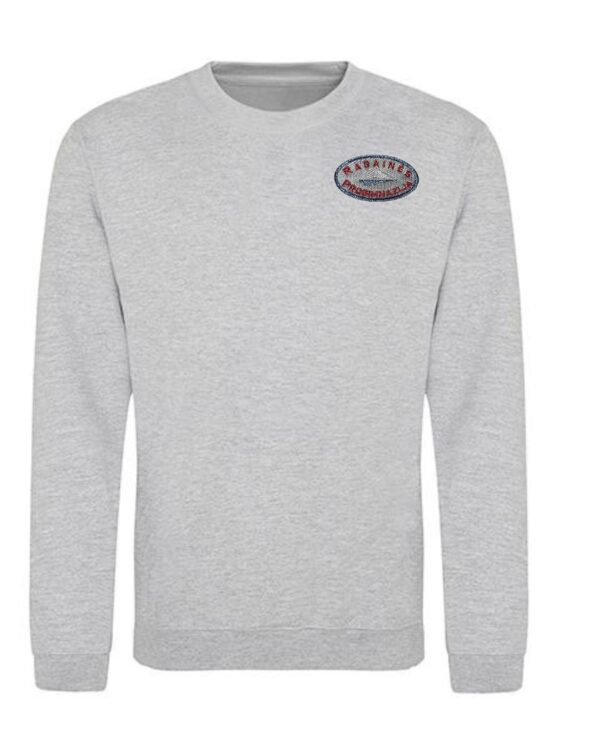 Trikotažinis sportinio tipo džemperis su mokyklos emblema