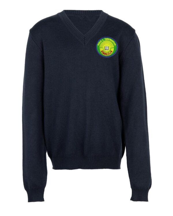 Megztinis V-formos apykakle su mokyklos emblema