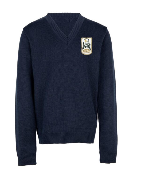 Megztinis V-formos apykakle su mokyklos emblema