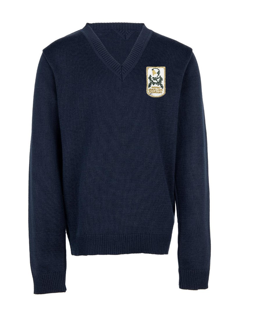 Megztinis V-formos apykakle su mokyklos emblema