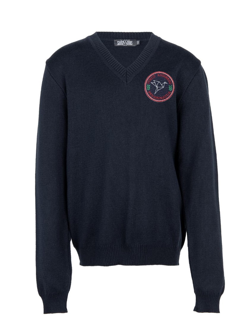 Megztinis V formos apykakle su mokyklos emblema