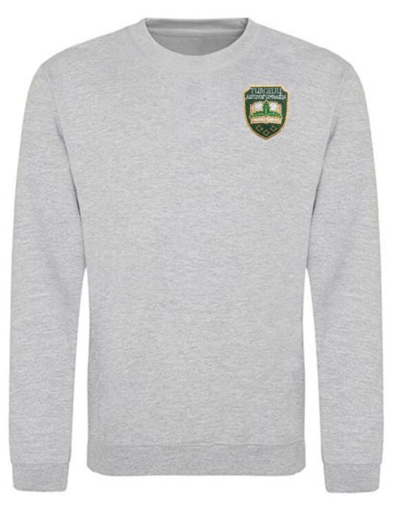 Trikotažinis sportinio tipo džemperis su mokyklos emblema