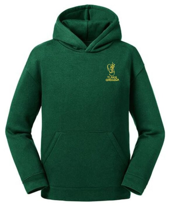 Trikotažinis džemperis su gobtuvu ir mokyklos emblema