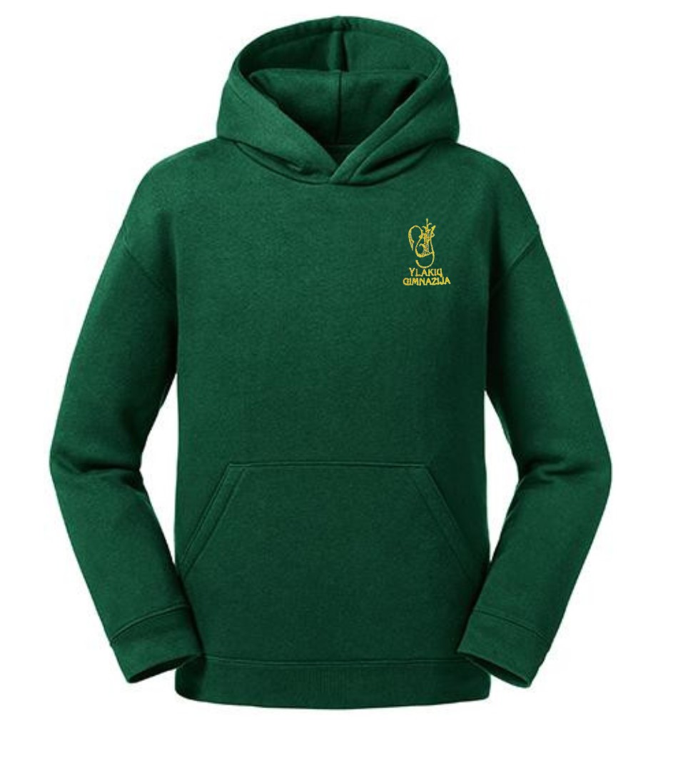 Trikotažinis džemperis su gobtuvu ir mokyklos emblema