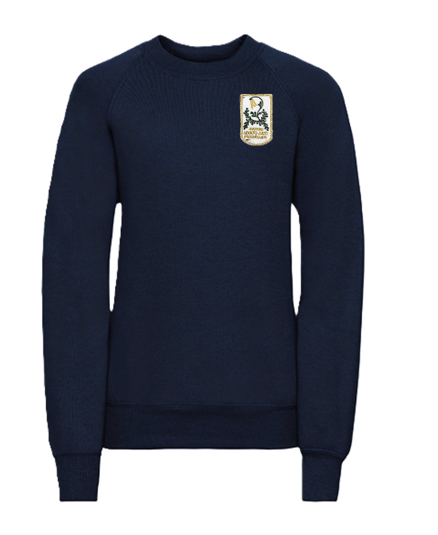 Trikotažinis džemperis be gobtuvo su mokyklos logotipu