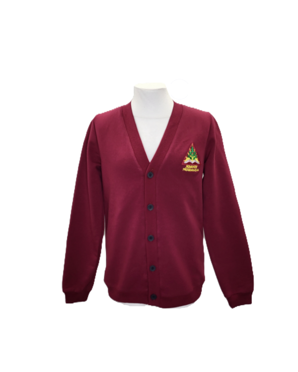 Sportinio stiliaus trikotažinis bliuzonas su sagomis ir mokyklos emblema