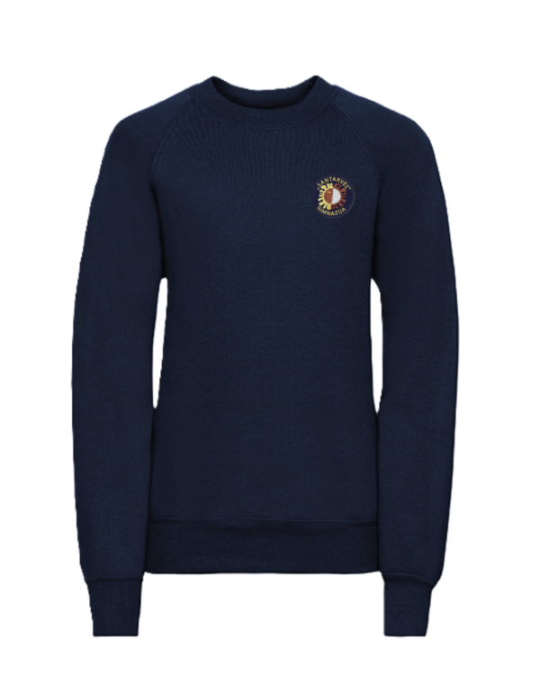 Trikotažinis džemperis be gobtuvo su mokyklos emblema