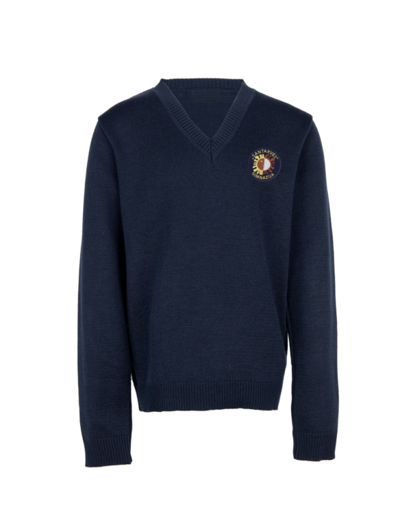 Megztinis V-formos apykakle su mokyklos emblema