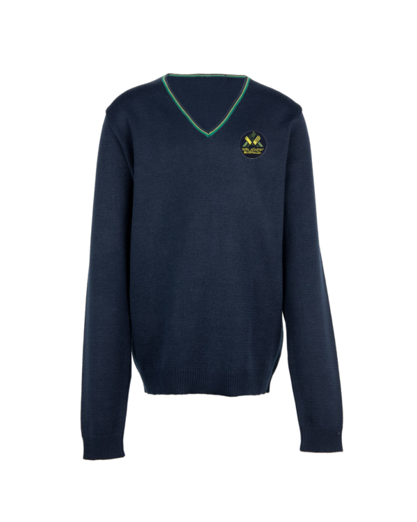 Megztinis V-formos apykakle su mokyklos emblema