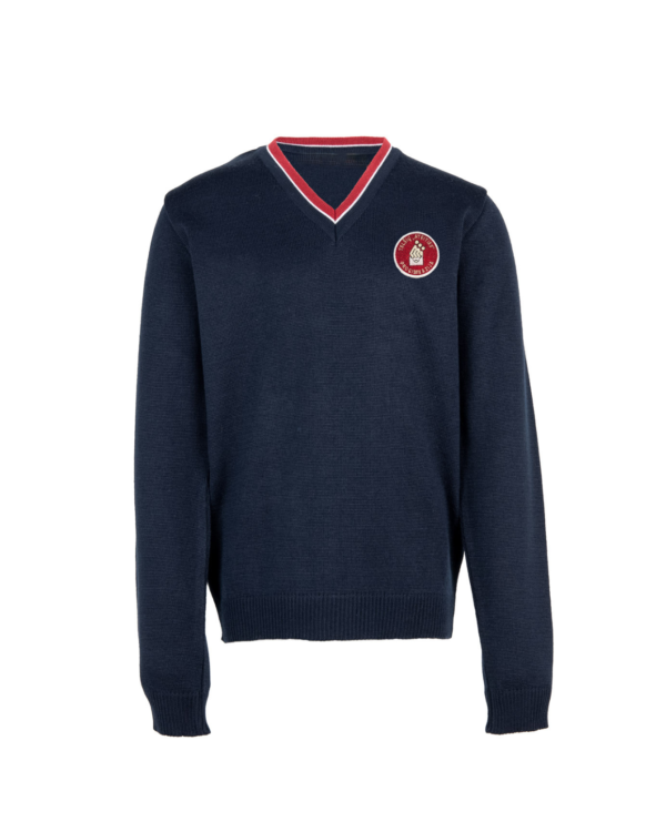 Megztinis V-formos apykakle su mokyklos emblema