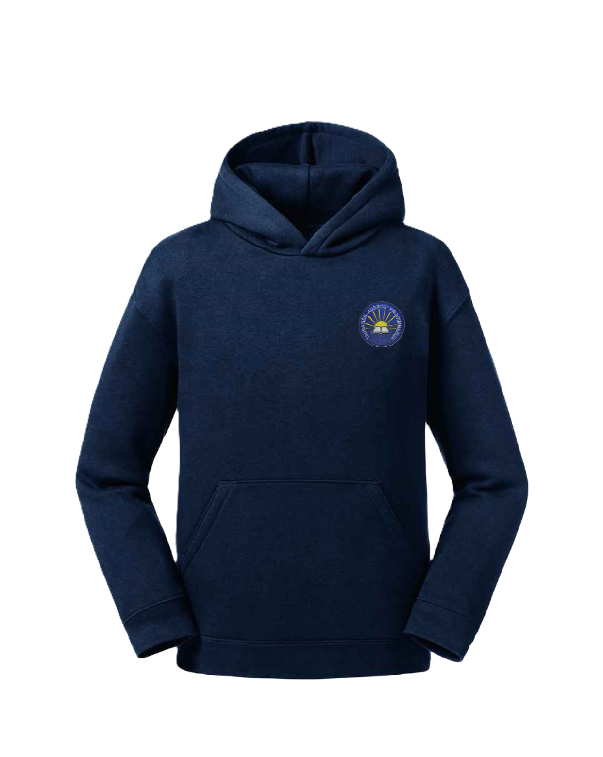 Trikotažinis džemperis su gobtuvu ir mokyklos emblema