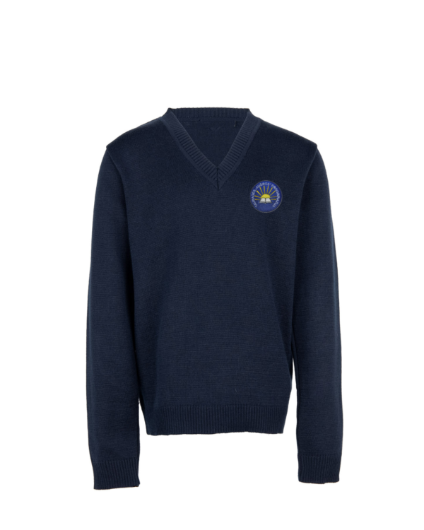 Megztinis V-formos apykakle su mokyklos emblema