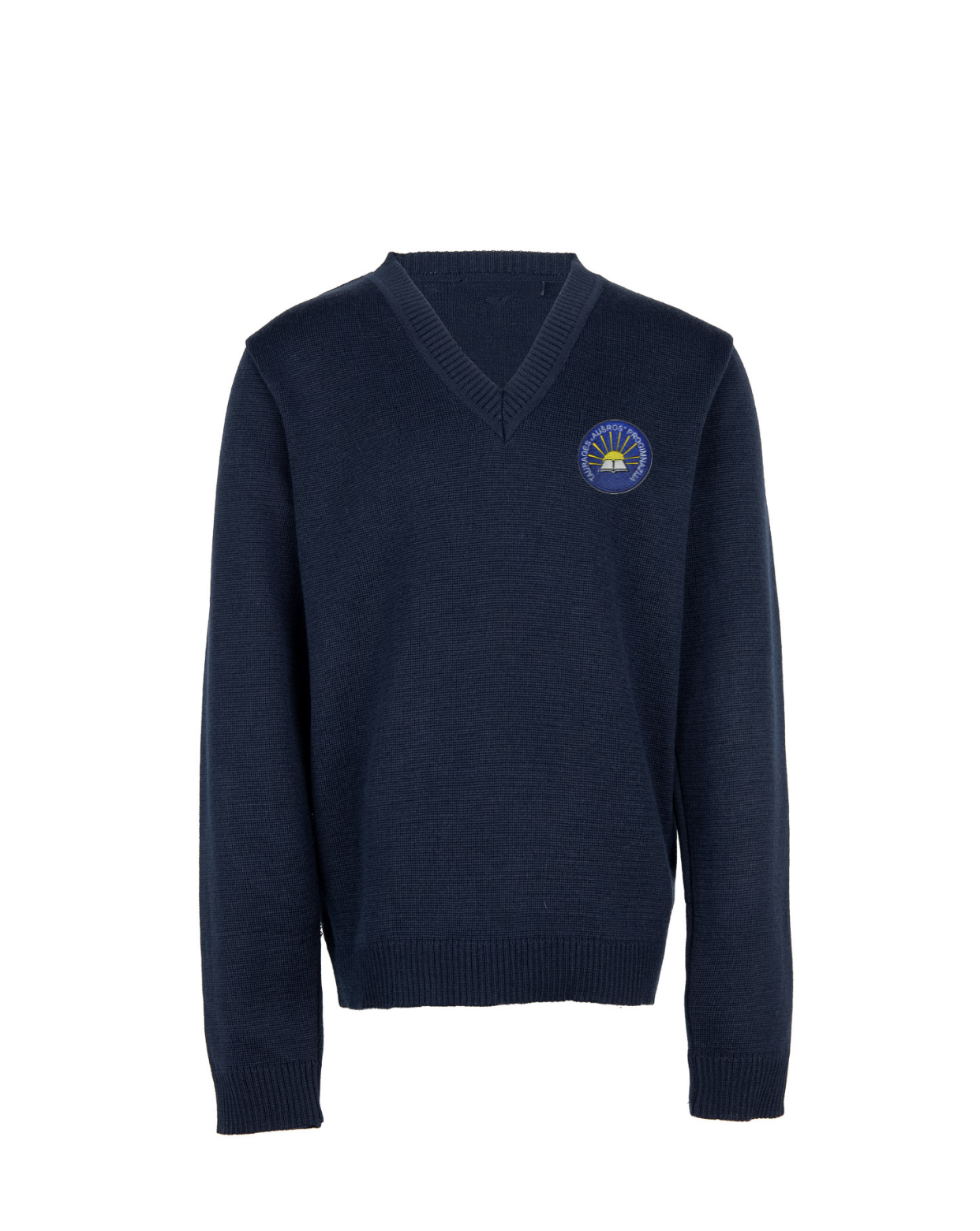 Megztinis V-formos apykakle su mokyklos emblema