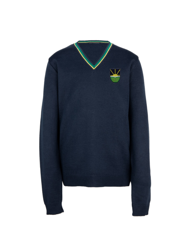 Megztinis V-formos apykakle su mokyklos emblema