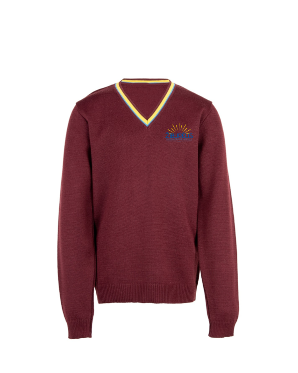 Megztinis V-formos apykakle su mokyklos emblema