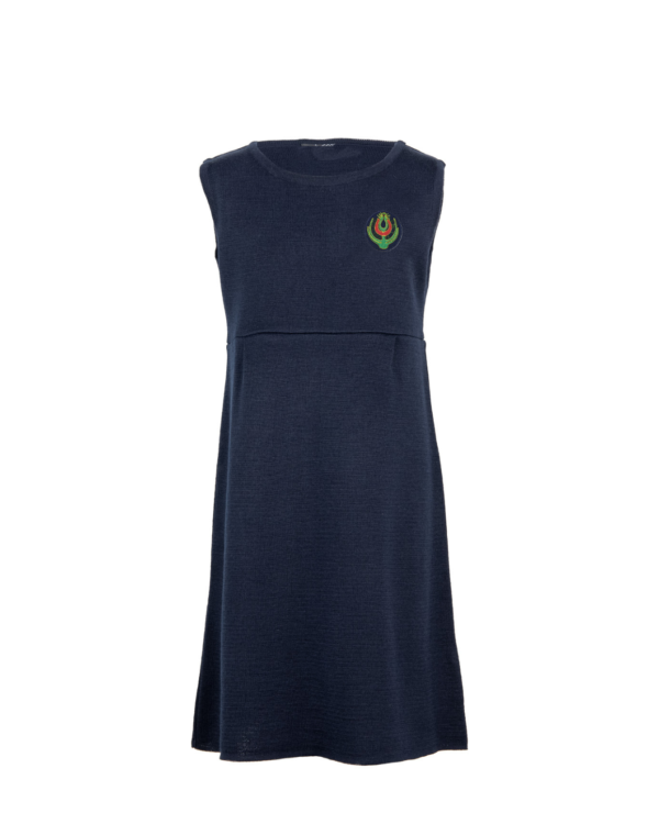 Lygus sarafanas su mokyklos emblema