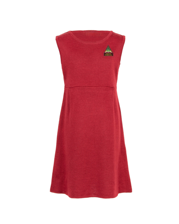 Lygus sarafanas su mokyklos emblema