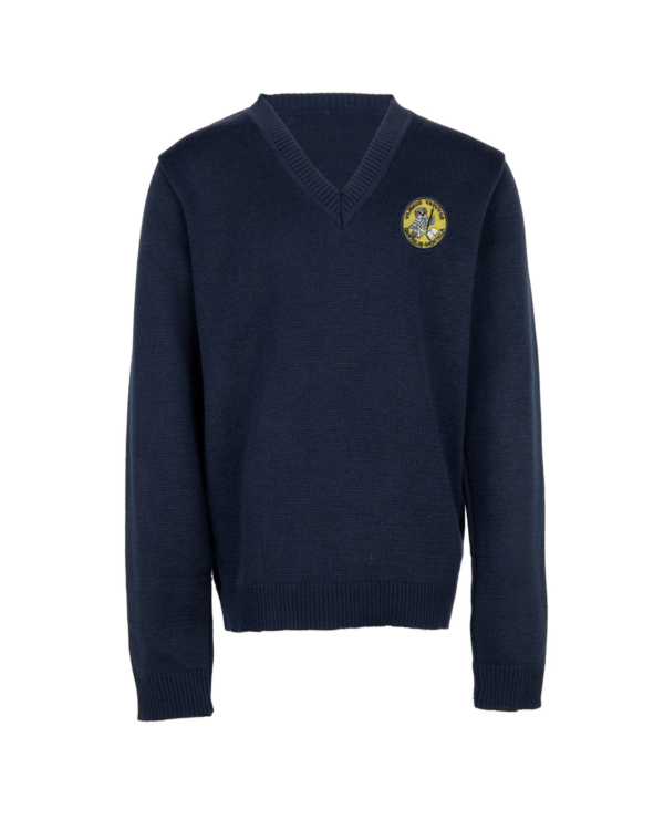 Megztinis V-formos apykakle su mokyklos emblema