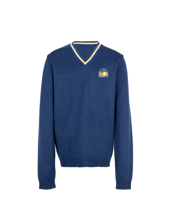 Megztinis V-formos apykakle su mokyklos emblema