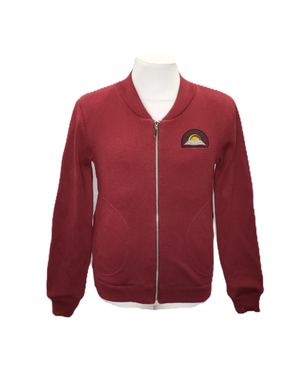 Užtraukiamas megztinis su mokyklos emblema