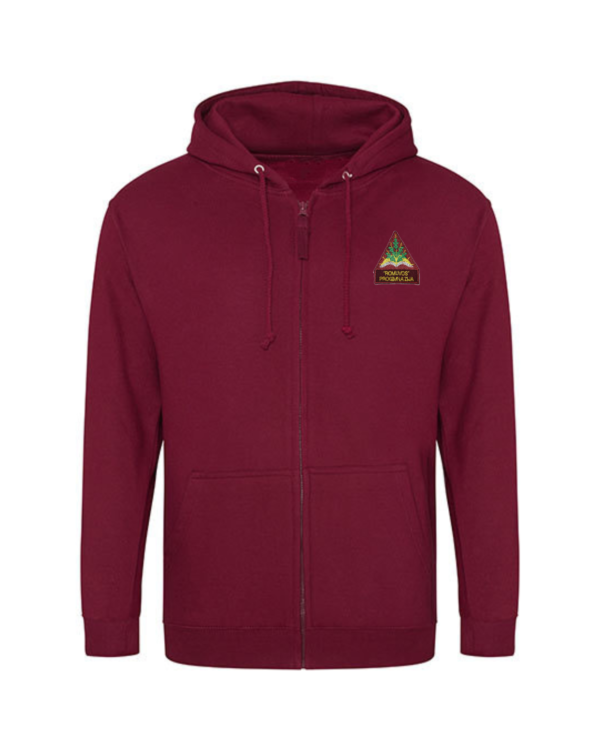 Trikotažinis sportinio tipo džemperis su užtrauktuku ir mokyklos emblema