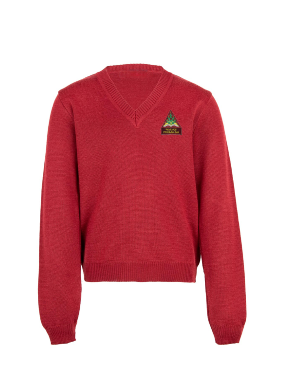 Megztinis V-formos apykakle su mokyklos emblema