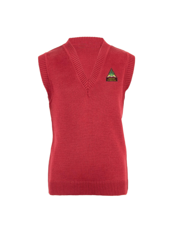 Liemenė su mokyklos emblema