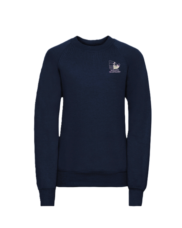 Trikotažinis džemperis be gobtuvo su mokyklos logotipu