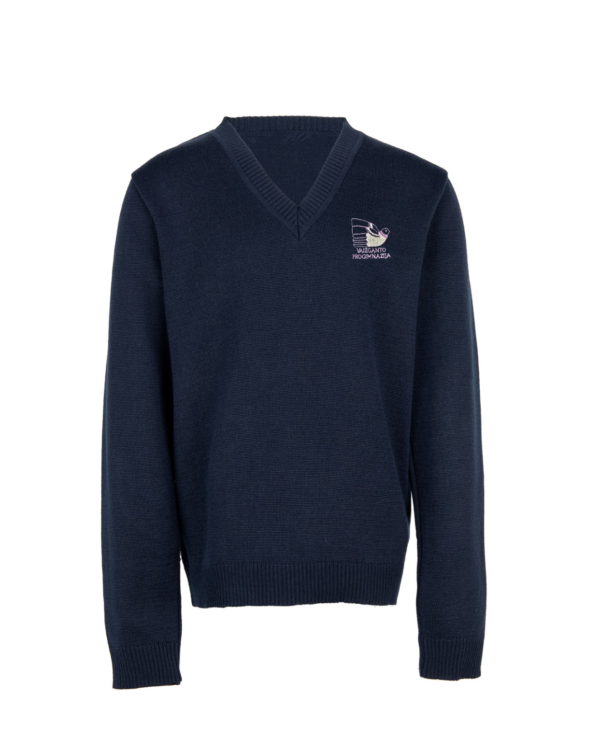 Megztinis V-formos apykakle su mokyklos emblema