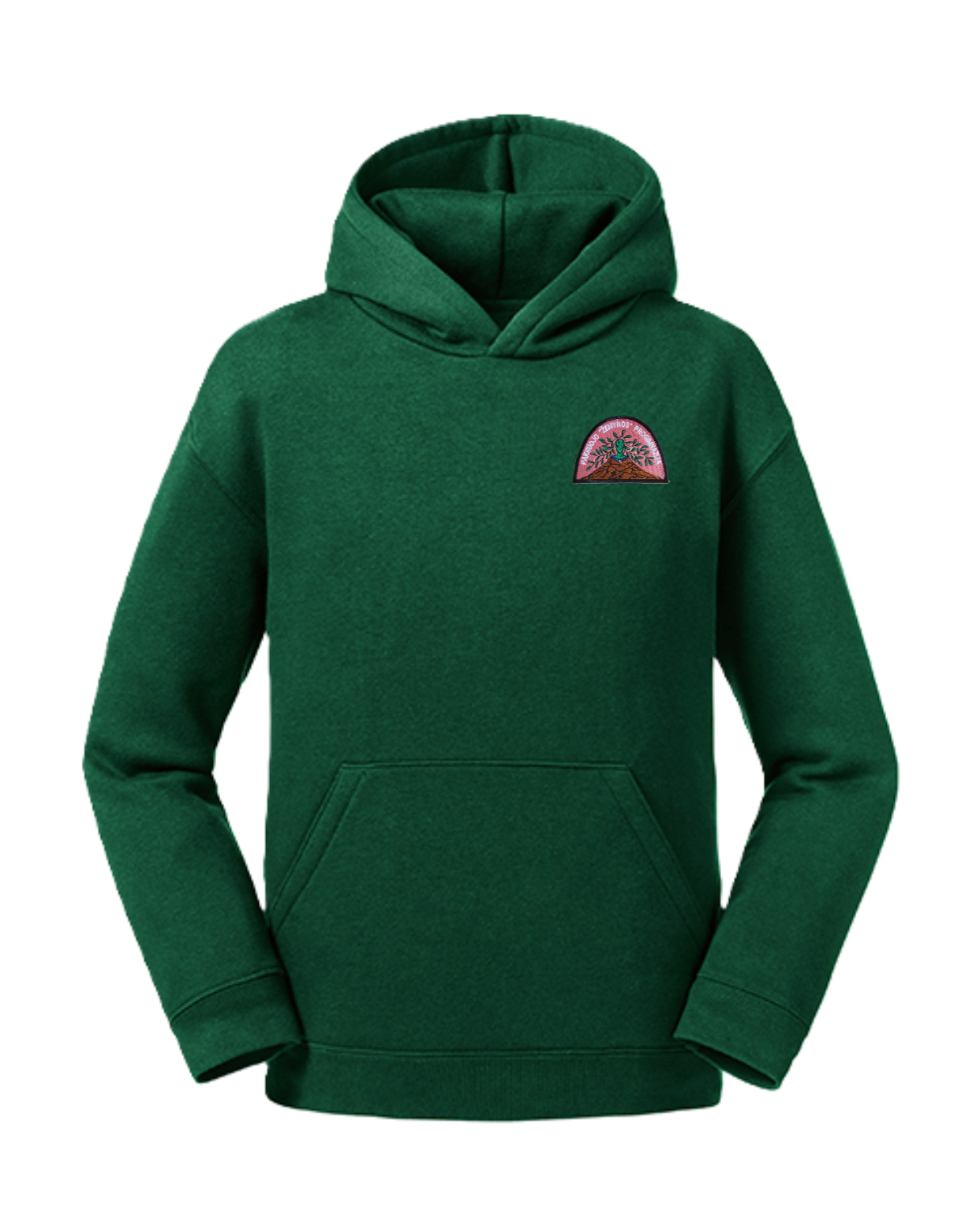 Trikotažinis džemperis su gobtuvu ir mokyklos emblema