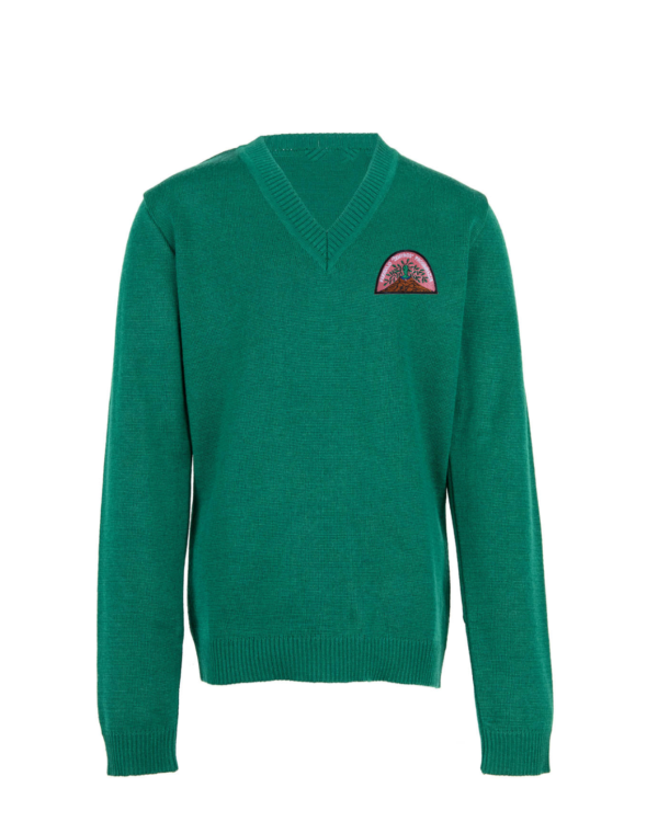 Megztinis V-formos apykakle su mokyklos emblema