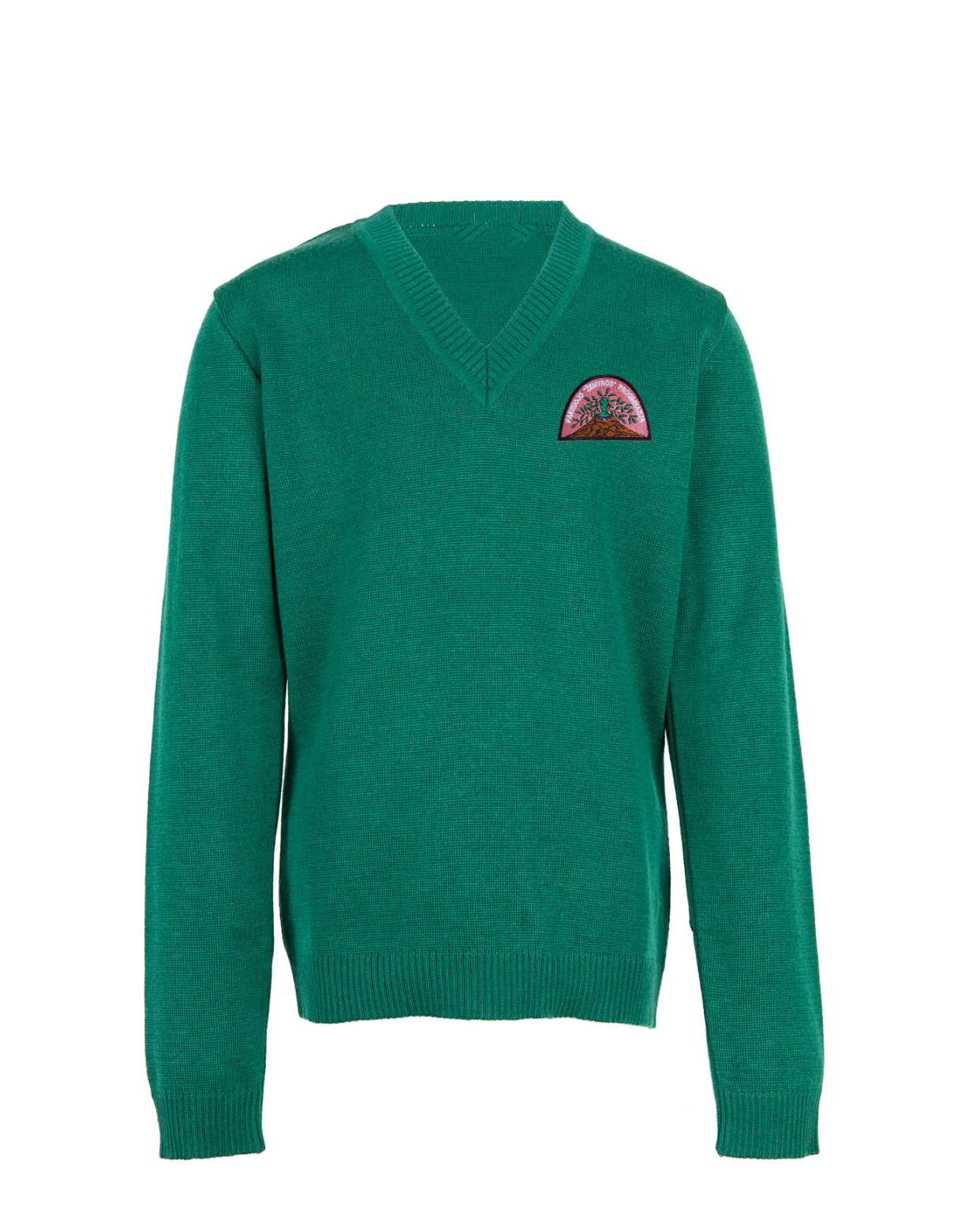 Megztinis V-formos apykakle su mokyklos emblema