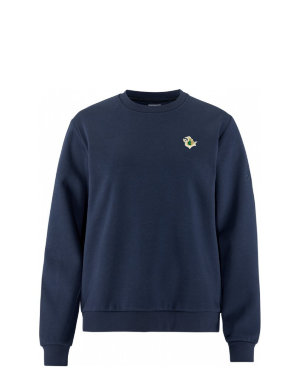 Sportinio stiliaus trikotažinis bliuzonas su mokyklos emblema