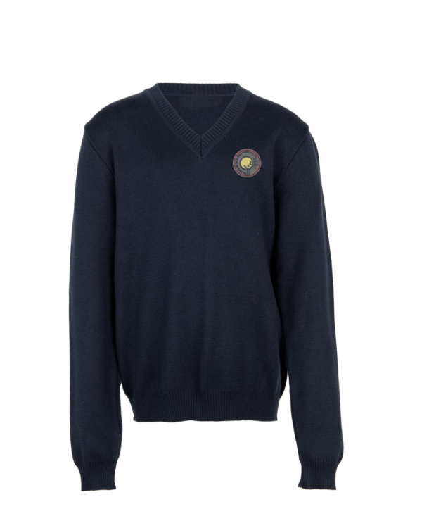 Megztinis V-formos apykakle su mokyklos emblema