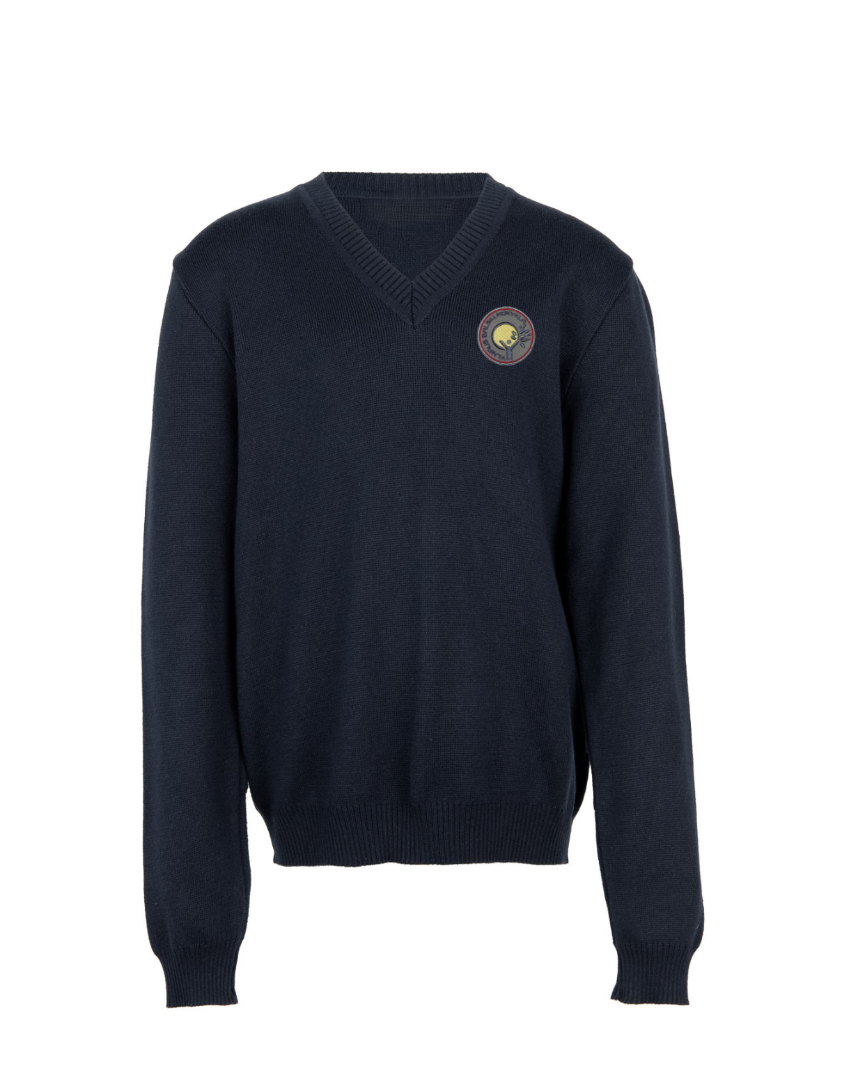 Megztinis V-formos apykakle su mokyklos emblema