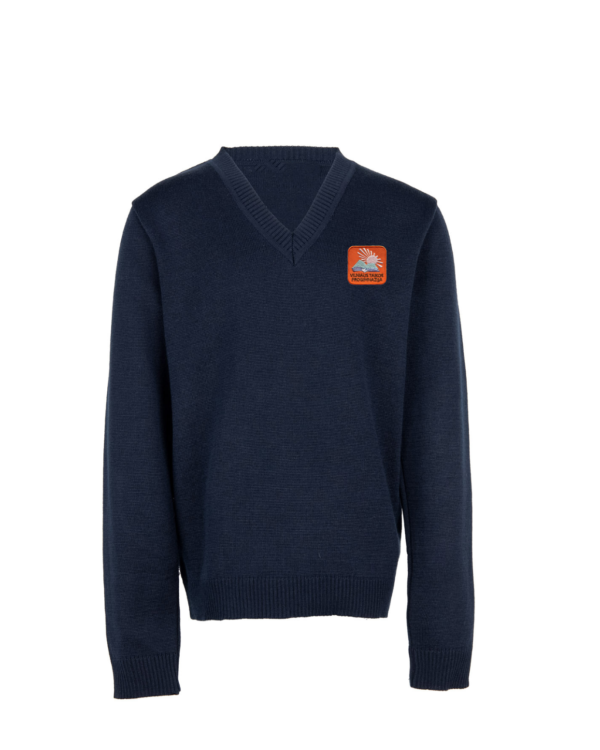 Megztinis V-formos apykakle su mokyklos emblema